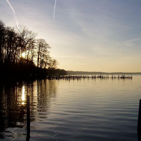 Ferienwohnungen Am Werbellinsee Schorfheide Buitenkant foto